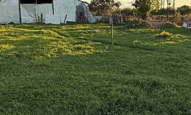 CAMPO 63,15 HA EN MONTELEÓN SAN NICOLÁS
