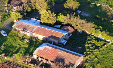 CAMPO 63,15 HA EN MONTELEÓN SAN NICOLÁS