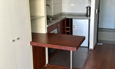 ARRIENDO DEPARTAMENTO 1HAB 1BA SANTIAGO