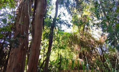 ¡Vive rodeado de naturaleza en Pirque! – Casa en arriendo