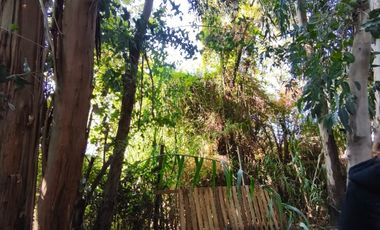 ¡Vive rodeado de naturaleza en Pirque! – Casa en arriendo