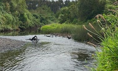 Parcela en Venta en Río del Peñol - Ruta V-86
