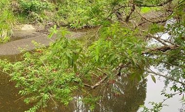 Parcela en Venta en Río del Peñol - Ruta V-86