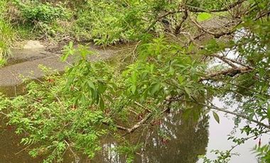 Parcela en Venta en Río del Peñol - Ruta V-86