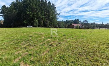 PARCELA CON PRADERA Y BOSQUE EN CONDOMINIO IDANMAPU