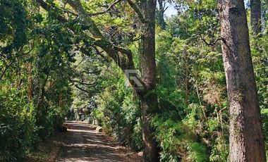 PARCELA CON PRADERA Y BOSQUE EN CONDOMINIO IDANMAPU