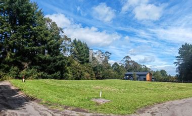 PARCELA CON PRADERA Y BOSQUE EN CONDOMINIO IDANMAPU
