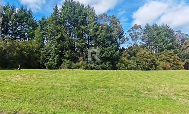 PARCELA CON PRADERA Y BOSQUE EN CONDOMINIO IDANMAPU