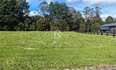 PARCELA CON PRADERA Y BOSQUE EN CONDOMINIO IDANMAPU