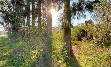 Venta - Lote Comercial - Barrio Los Pinos - Exaltación de la Cruz