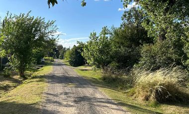 Venta - Lote Comercial - Barrio Los Pinos - Exaltación de la Cruz