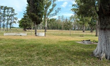 QUINTA DE 25has en VENTA, CASILDA