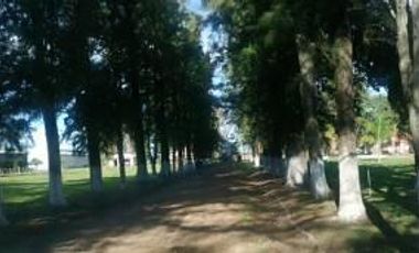 QUINTA DE 25has en VENTA, CASILDA