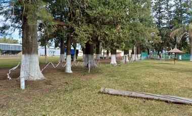 QUINTA DE 25has en VENTA, CASILDA