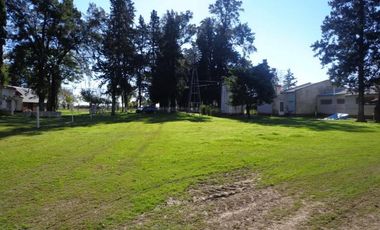 QUINTA DE 25has en VENTA, CASILDA