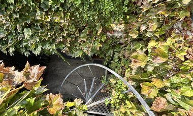 ALQUILER PH AMUEBLADO IMPERDIBLE !