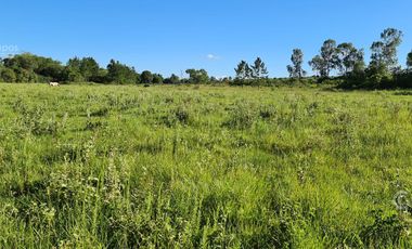 Se Vende Chacra . Con casa, arroyo y tajamares. Santa Ana Misiones