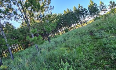 Se Vende Chacra . Con casa, arroyo y tajamares. Santa Ana Misiones