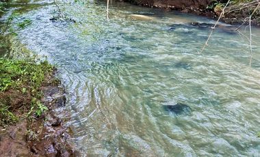 Se Vende Chacra . Con casa, arroyo y tajamares. Santa Ana Misiones