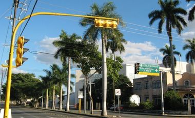 Lote al Norte de Mérida, Kinchil