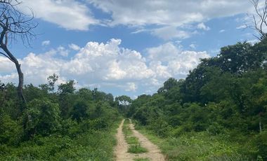 Lotes en venta en KOMCHEN cerca Carretera Progreso-Mérida
