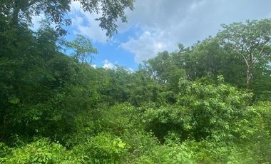 Lotes en venta en KOMCHEN cerca Carretera Progreso-Mérida