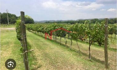 ? Hotel Boutique en Venta | 6 Habitaciones + 5 Bungalows – Parras de la Fuente, Coahuila ?