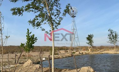Rancho en Venta | 900 Hectáreas Frente a Carretera a Torreón