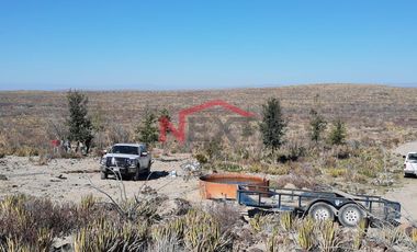 Rancho en Venta | 900 Hectáreas Frente a Carretera a Torreón