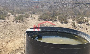 Rancho en Venta | 900 Hectáreas Frente a Carretera a Torreón