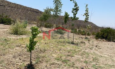 Rancho en Venta | 900 Hectáreas Frente a Carretera a Torreón