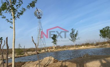 Rancho en Venta | 900 Hectáreas Frente a Carretera a Torreón