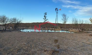 Rancho en Venta | 900 Hectáreas Frente a Carretera a Torreón