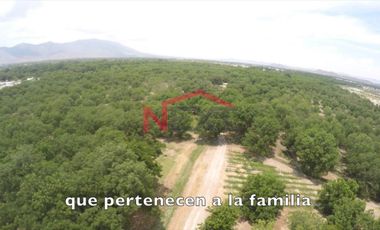 ? Casa Campestre / Hotel Boutique en Venta  ?Parras de la Fuente