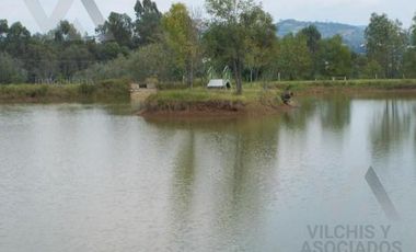 RANCHO EN VENTA, VILLA GUERRERO