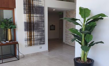 Av. Recoleta 1259 [765-6]