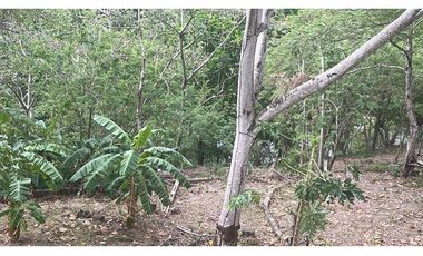 LOTE EN VENTA // LAS CUMBRES