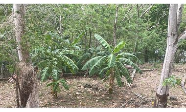 LOTE EN VENTA // LAS CUMBRES