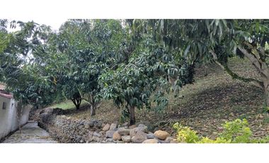 SIEB 163 La Mesa - Cundinamarca