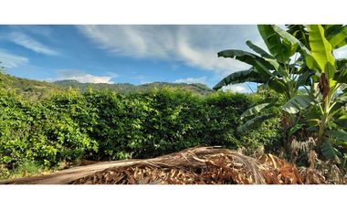 SIEB 163 La Mesa - Cundinamarca