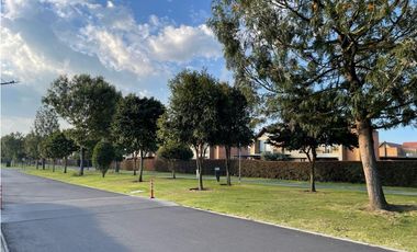 HACIENDA FONTANAR ALAMO