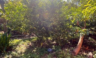 VENTA CASA LOTE MULALO YUMBO