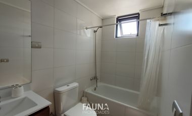Arriendo 1D 1B 1B Amoblado