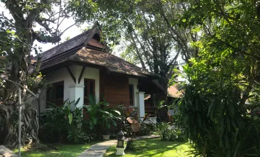 3 Bedroom House for sale in Umong, Lamphun