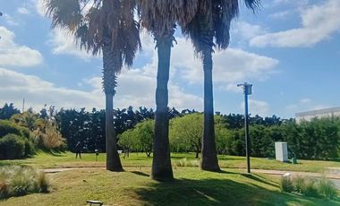 VENTA DUPLEX 3 AMB COCHERA BARRIO HOMES 2 NORDELTA