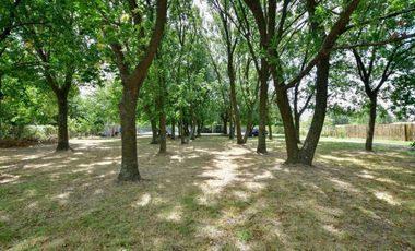 Casa en venta en Lisandro Olmos