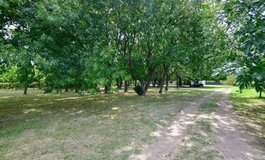 Casa en venta en Lisandro Olmos