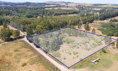 venta en block lotes en la elena