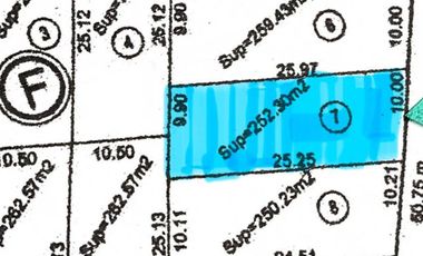Venta lote 252 m2 B° Agua y Energía Plan 25 Maipú.