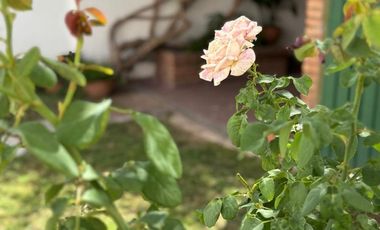 VENTA CASA CIUDAD DE MZA IDEAL VIVIENDA O COMERCIO